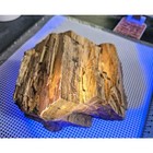 Arizona Petrified Wood That Glows    Large Old Stock    Uv Petwood     W w   