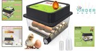 Egg Incubator 12 Eggs Automatic Turn Humidity Control All Ages Easy Use