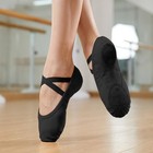 Ballet Shoes For Women Girls  Canvas Ballet Slippers Split Sole