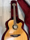 Takamine Eg-45c Acoustic Electric Guitar Natural Cutaway Tk-40 Preamp hard Case