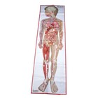 American Educational Products Biq-3 Body Iq Standard Mat