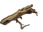 Driftwood Manzanita Branch Aquarium Terrarium Aquascape Reptile  holes  Decor