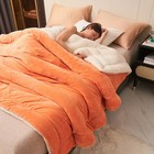 Sherpa Fleece Throw Blanket Flannel Thick And Warm Soft Fuzzy Plush Throwblanket