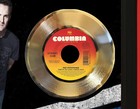 Offspring 2 Poster Art Wood Framed 45 Gold Record Display C3