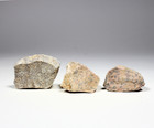 Dendrite Agate - Rough Rocks For Tumbling - Bulk Wholesale 1lb Options