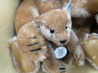Vintage Margaret Woodbury Strong Museum Steiff Brown Teddy Bears 1984  Set Of 4