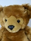 First Main   dimples  Plush Teddy Bear Brown Jointed Cute Stuffed Cuddly Bear