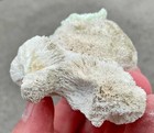Pectolite Prehnite Mineral Specimen Paterson New Jersey Estate Find A 