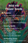 35 Rare Black Bearded Iris Flower Seeds     Striking Garden Blooms Purple-orange