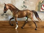 Peter Stone 2004 - Tennessee Walking Horse - Glossy - Chestnut Stallion -  44 80