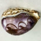 Lot 16 Natural Sea Shells Carved Sea World Dolphins Nautical Purple Decor Clam
