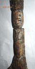 Orig  399 Papua New Guinea Fertility Figure 15   Prov 1900s