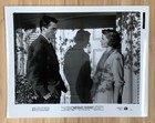 2 Gentleman s Agreement  1947  Original Movie Still Lot G  Peck dorothy Mcguire