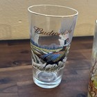 Budweiser Wildlife Pint Beer Glasses Set Of 6 Gold Rim Deer Duck Elk Goose 1999