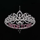 Bride To Be Tiara Crown Crystal Rhinestone Wedding Bridal Bachelorette Party