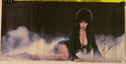 1988 Elvira Us Promo Poster Autographed  Signed For Bob   24 x12  