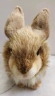 Hansa Rabbit  2786 29cm  Nwt Realistic Really Nice For An Easter Decoration