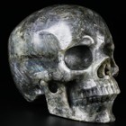 Huge 5 0  Labradorite Carved Skull  Super Realistic  Crystal Healing