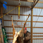 Game Hoist Gambrel 700lb Capacity Dual Pulley Lift For Deer Hunting Skinning Usa