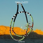 Native American    green    Heishi Necklace