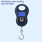 50kg 110lb Digital Portable Hanging Luggage Scale Lcd Travel Fishing Hook Weight