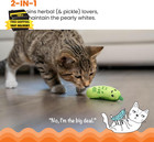 Crunchy Pickle Kicker Dental Catnip Cat Toy                               
