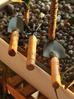 3pcs Garden Mini Tool Set Shovel Rake For Plants Hand Tools Set