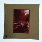 1960 Kodak Ektachrome 35mm Color Slide Vintage Family Picnic Outdoor Photo