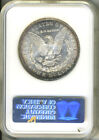 1878-cc  1 Morgan Dollar Ngc Ms64  Blast White  Great Edge Toning