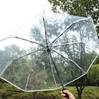 Clear Umbrella Automatic Open 98cm Diameter  59cm Height  Transparent