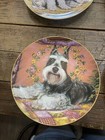 Schnauzer Porcelain Collector Plate Set Dog Breed Decorative Assorted Designs