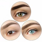 Ultimate Eyebrow Shaping Powder Stamp Eye Brow Makeup Beauty Tool