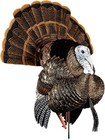 Avian-x Hdr Strutter Turkey Decoy - Rugged Durable Realistic Lifelike Dominant