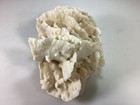 Genuine Natural Cactus Coral Aquarium Decor Beach Wedding 10   