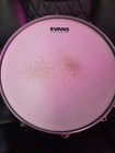 Pearl Masters 5 5 X 14 Snare Drum  All Maple Shell  New Heads And Snare 