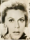 Elizabeth Montgomery Press Photo 1967 Bewitched Stamped Dated Published Aug 24th