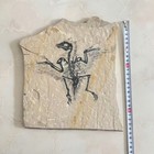 Unique Real Amphibian-vertebra-nothosauria-jurassic Dragon Dinosaur Fossil Rare