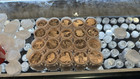 Lot Of 100 X 1 Oz Random 999 Fine Copper Rounds Bullion 5 Tube Of 20