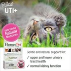 Homeopet Feline Uti Plus Natural Urinary Tract Support For Cats And Dogs