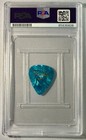 Krist Novoselic Nirvana Fender Light Blue Signed Auto Guitar Pick Psa Dna