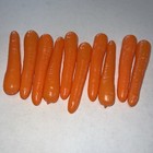 Realistic Artificial Fake Faux Food Replica Vegetables Carrots Stage Props Ten
