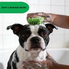 Rubber Curry Brush For Short Haired Dogs  Gentle Curry Comb Green