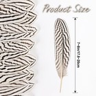 12pcs Silver Pheasant Feathers Bulk Natural Spotted Feathers Pheasant Feather   