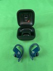 Beats Powerbeats Pro Wireless Earbuds  Blue