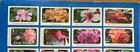 Cook Islands Stamps  Scott 1305-1322 Complete Set Mnh