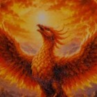 1 Oz  999 Fine Colorized Copper Coin Phoenix Rising Design In Capsule