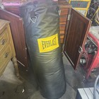 Everlast 70lb Platinum Heavy Punching Bag