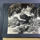 Optometrist Medical Eye Strength Training Stereoview Antique C1920s X1632