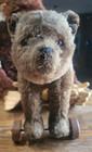 Wonderful 1920 s Steiff Mohair Teddy Bear On Wheels W  Ff Button