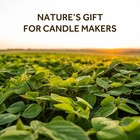 Norvence Soy Wax For Candle Making  Natural Flakes 1lb  White
